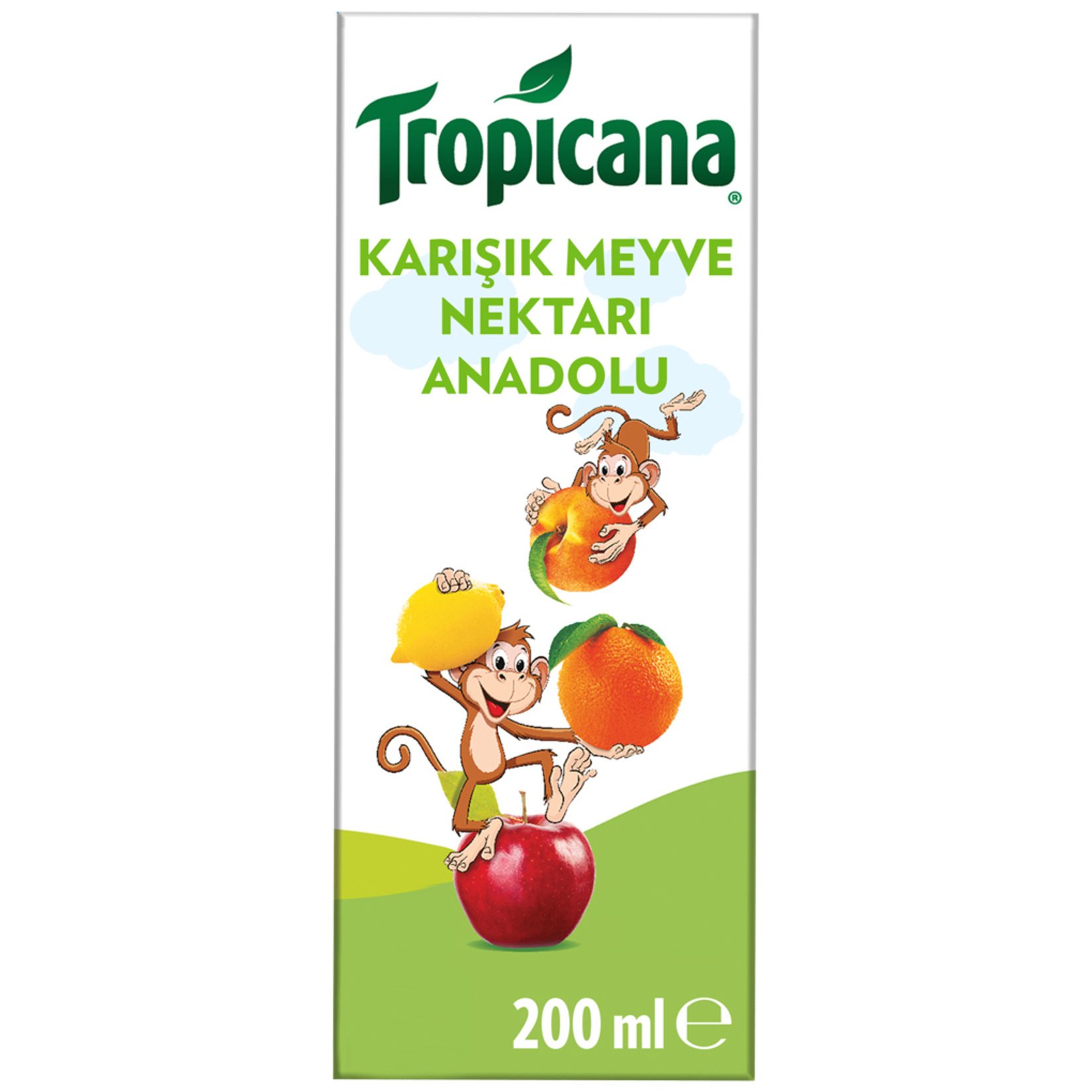 Tropicana Karışık Meyve 200 ml