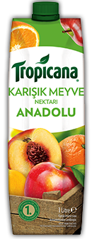 Tropicana Karışık Meyve 1 lt